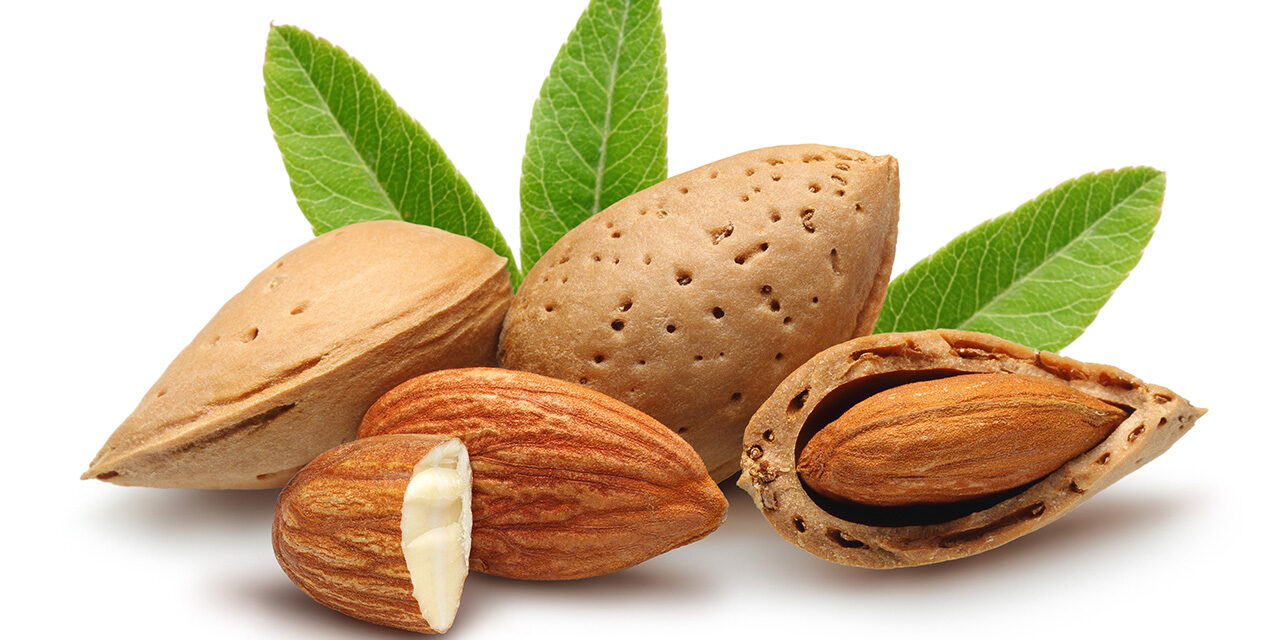 distribucion-almendras-frutas-ramirez