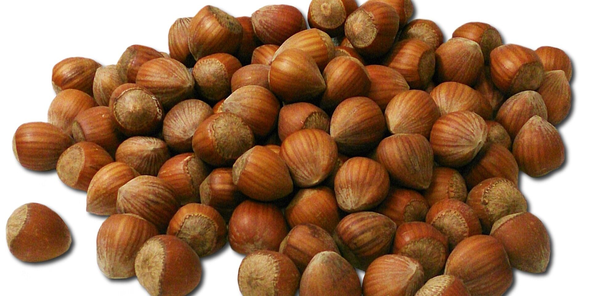 nuts-g2988b15f1_1920