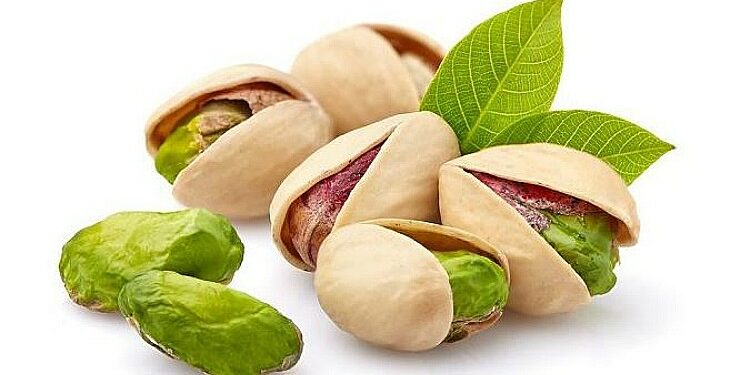 Pistachios - Jeod Holding International