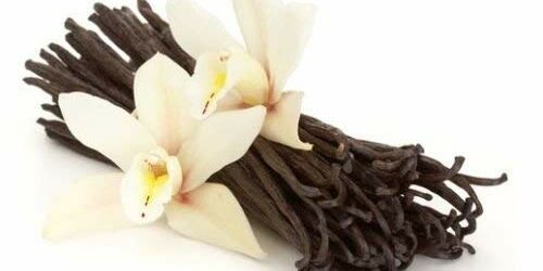 Vanilla – Jeod Holding International Vanilla - Jeod Holding International